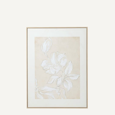 Canvas print of wild Magnolia (B)