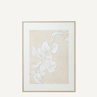 Canvas print of Wild Magnolia (A)