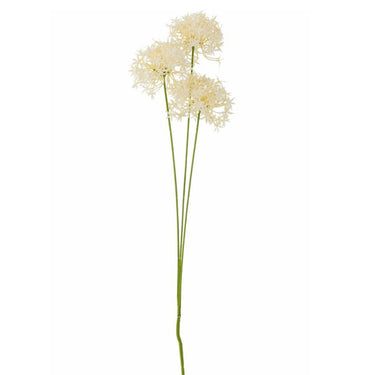 ALLUMI STEMS WITH 3 FLOWERS