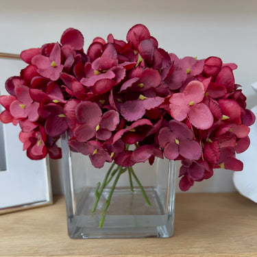 Hydrangea arrangement in cubed glass vase