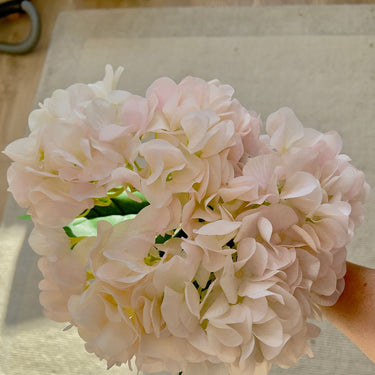 Blush hydrangea bunch (5 stems)