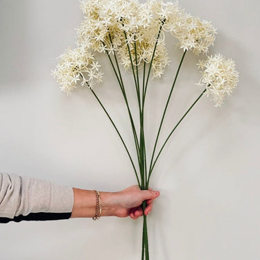 ALLUMI STEMS WITH 3 FLOWERS