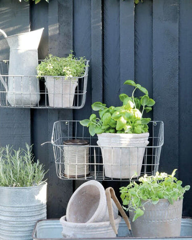 Terracotta flower pots with groves and handles on lifestyle photo