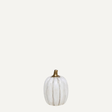 Pumpkin (small)